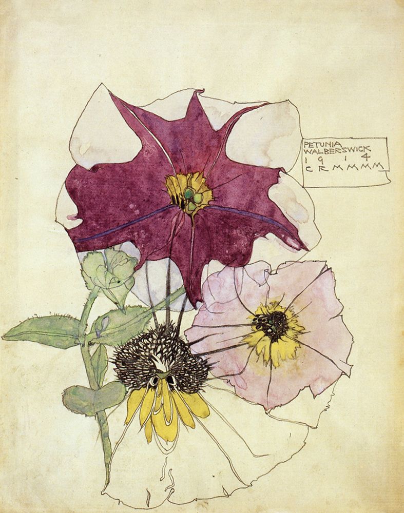 Petunia, Walberswick 1914 art print by Charles Rennie Mackintosh for $57.95 CAD