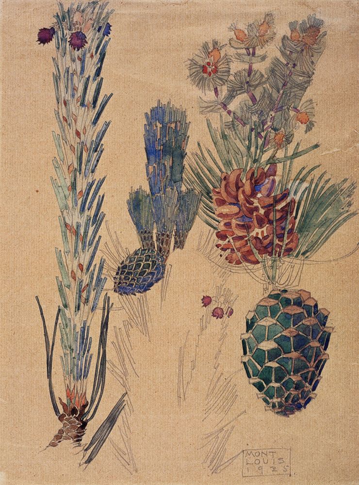 Pine Cones, Mont Louis 1925 art print by Charles Rennie Mackintosh for $57.95 CAD