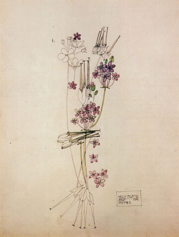 Storks Bill, Holy Island 1901 art print by Charles Rennie Mackintosh for $57.95 CAD