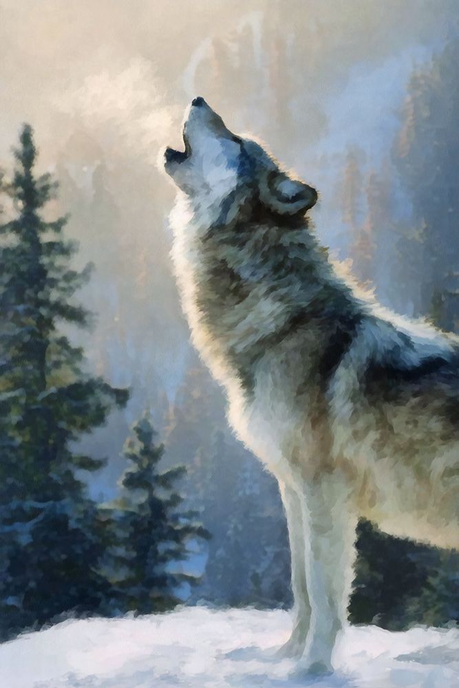 Howling Wolf I art print by Buck Rawlins for $57.95 CAD