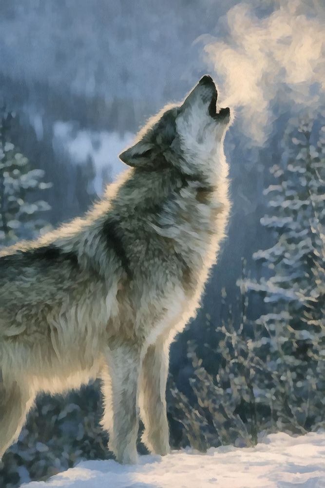 Howling Wolf II art print by Buck Rawlins for $57.95 CAD
