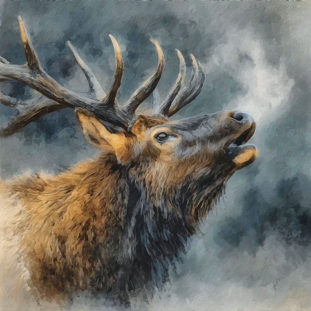 Calling Bull Elk I art print by Buck Rawlins for $57.95 CAD