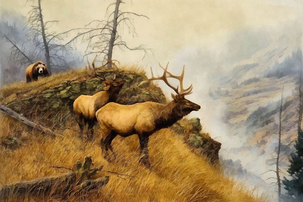 Bear and Elk I art print by Buck Rawlins for $57.95 CAD
