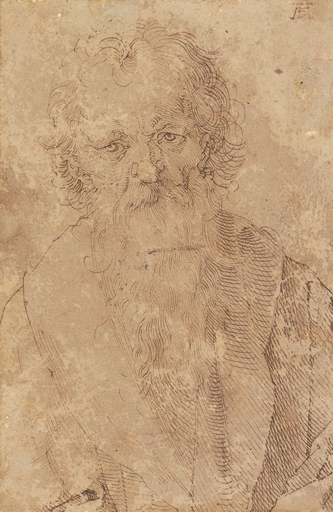 Bearded Old Man ca 1520 art print by Albrecht Durer for $57.95 CAD