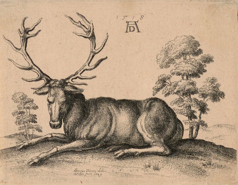 Stag, Wenceslaus Hollar art print by Albrecht Durer for $57.95 CAD