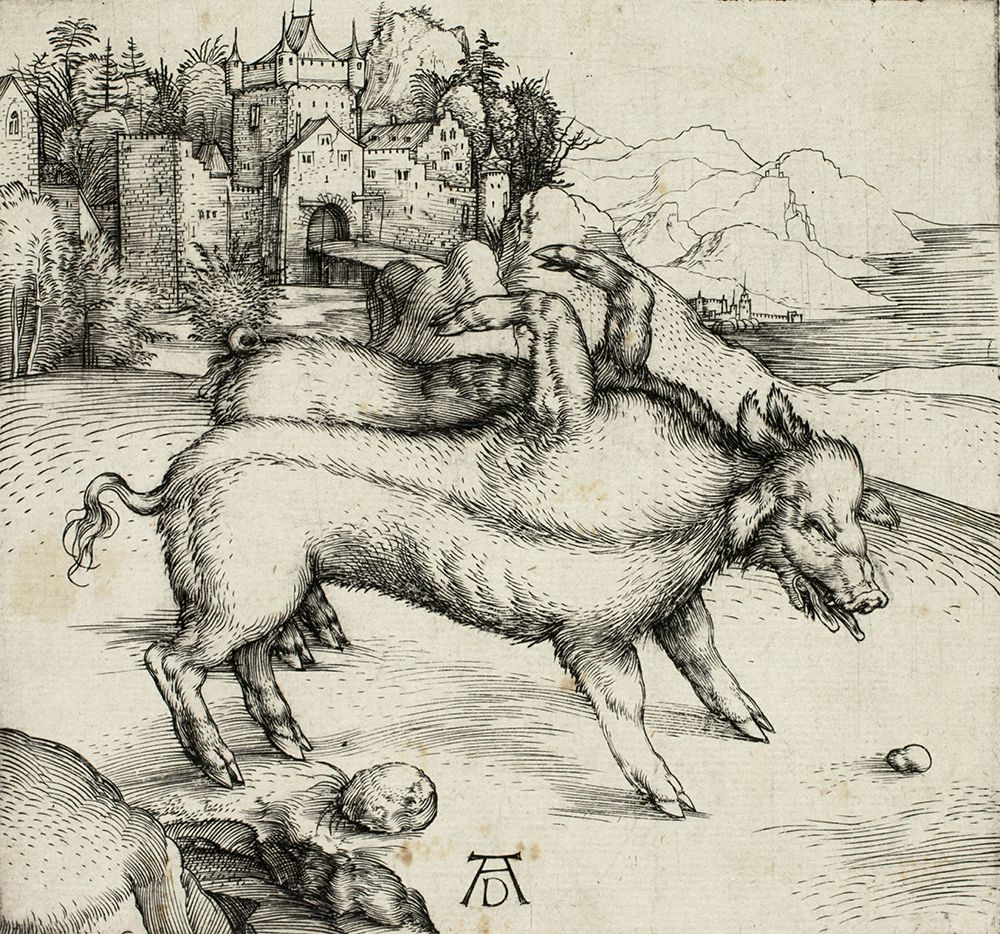 The Monstrous Sow of Landser art print by Albrecht Durer for $57.95 CAD
