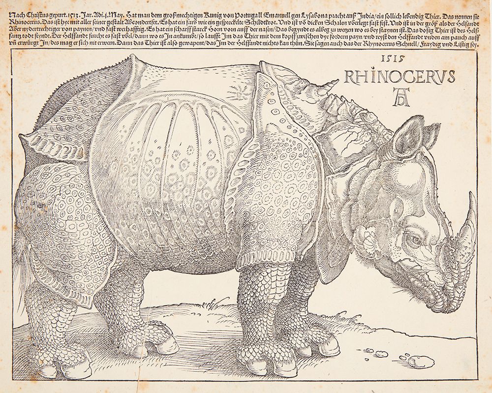 The Rhinoceros art print by Albrecht Durer for $57.95 CAD