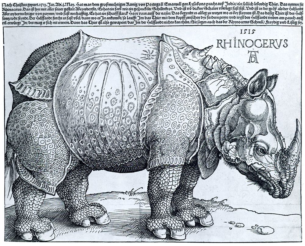 The Rhinocerous 1515 art print by Albrecht Durer for $57.95 CAD