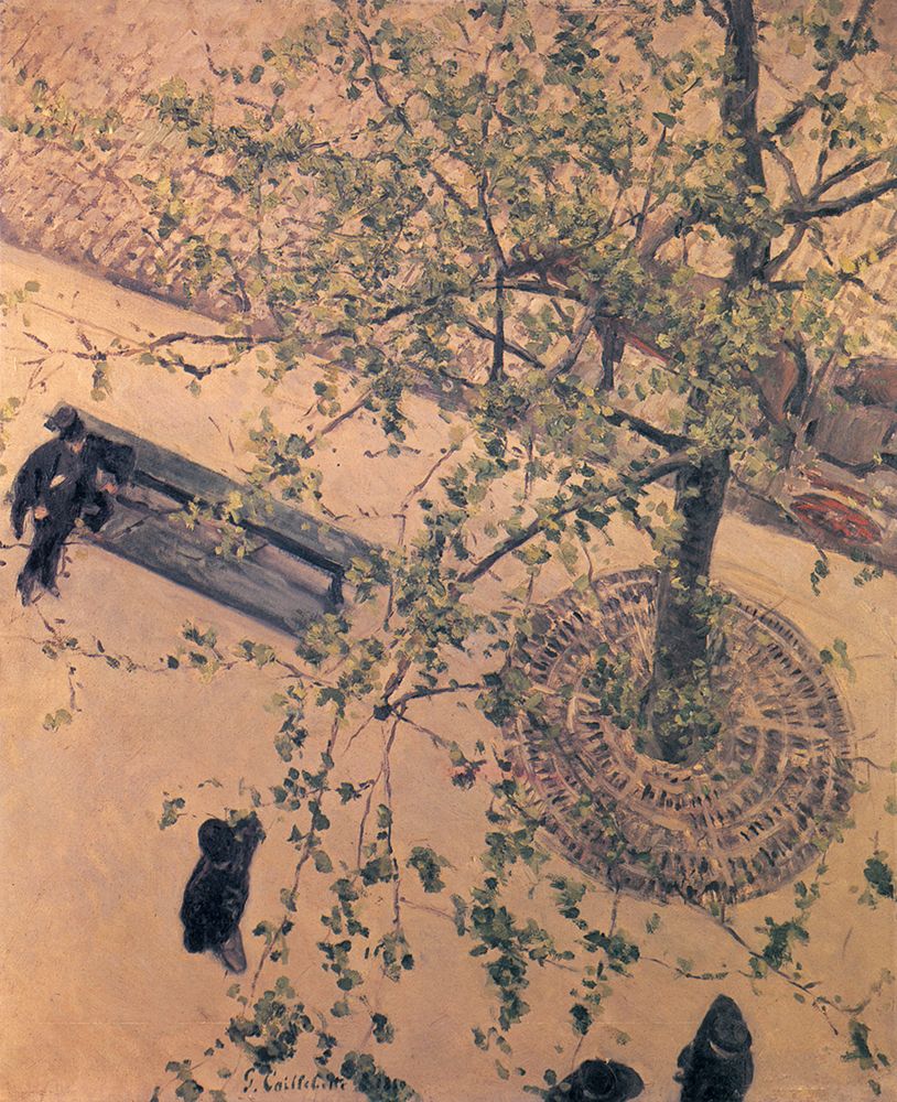 Boulevard Seen from Above 1880 art print by Gustave Caillebotte for $57.95 CAD