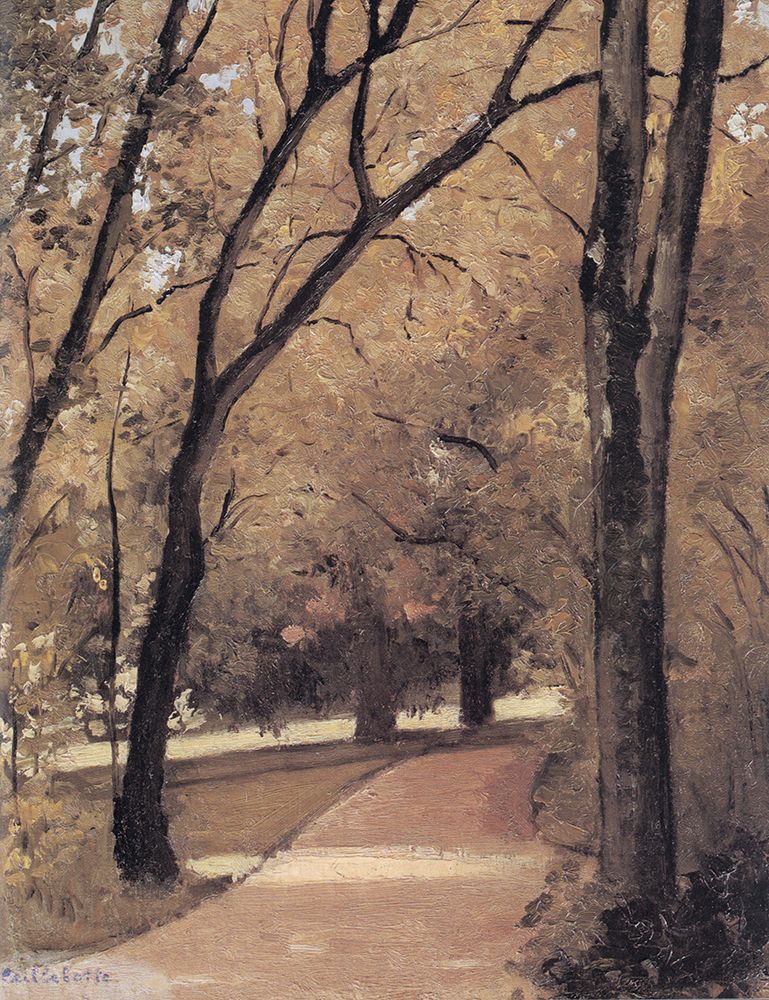 Path through the Old-Growth Woods 1872 art print by Gustave Caillebotte for $57.95 CAD