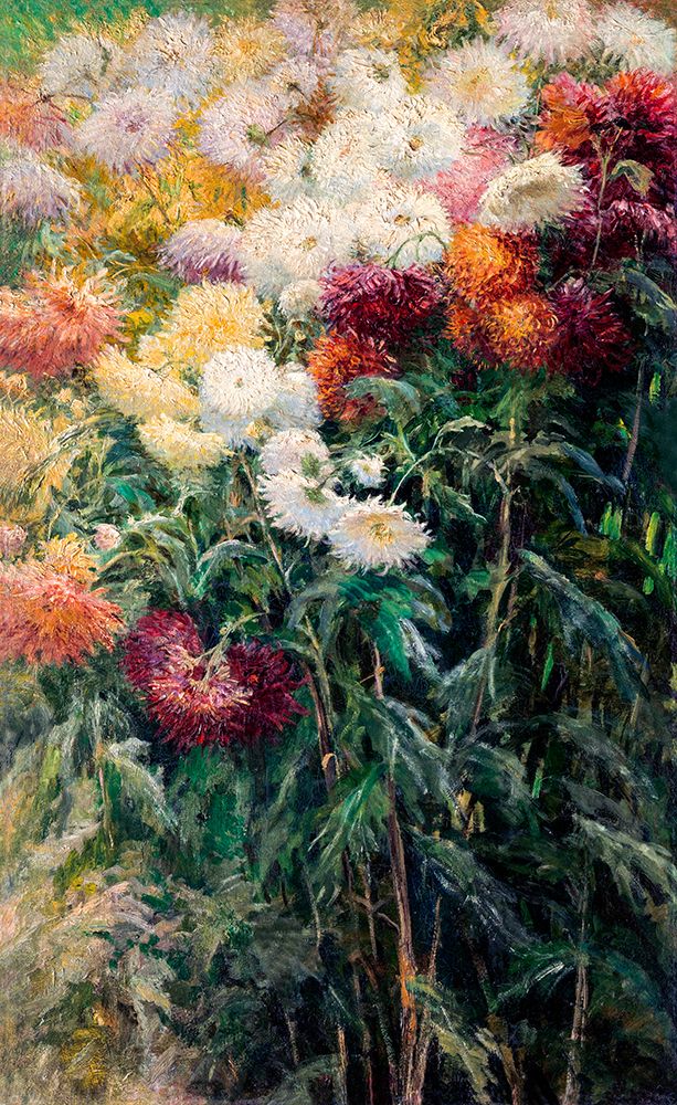 Chrysanthemums in the Garden at Petit├óΓé¼ΓÇ£Gennevilliers 1893 art print by Gustave Caillebotte for $57.95 CAD