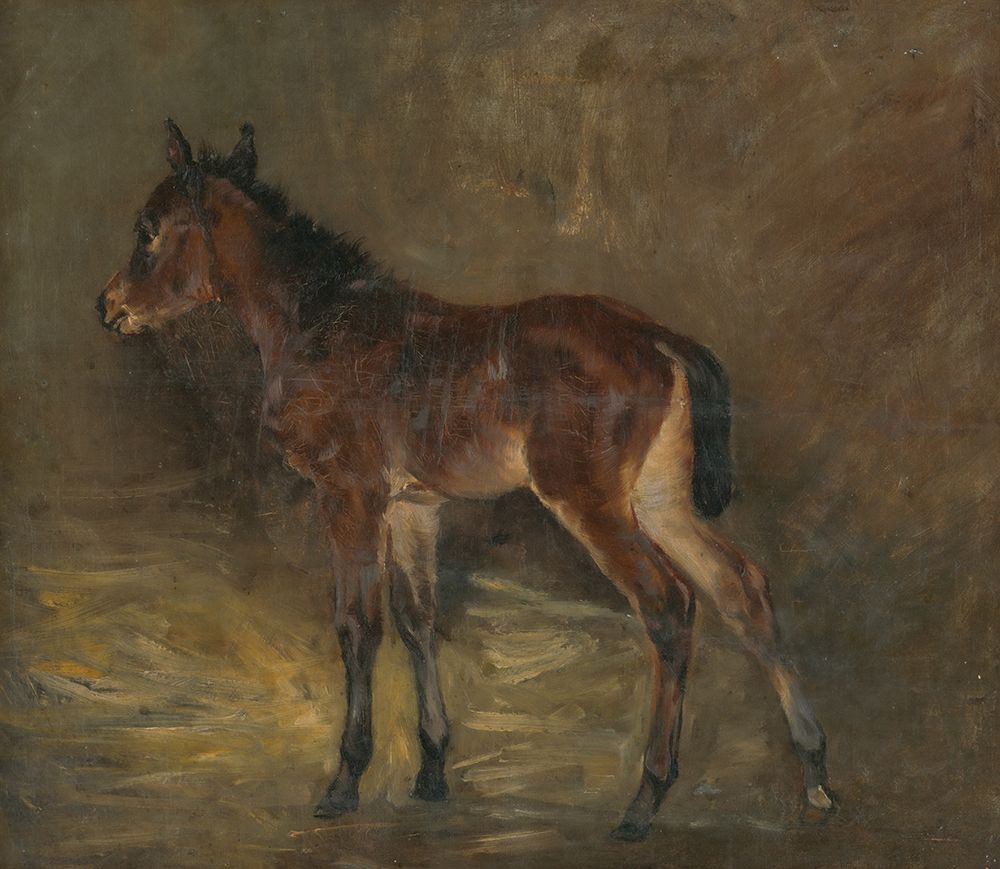 Foal art print by Laszlo Mednyanszky for $57.95 CAD