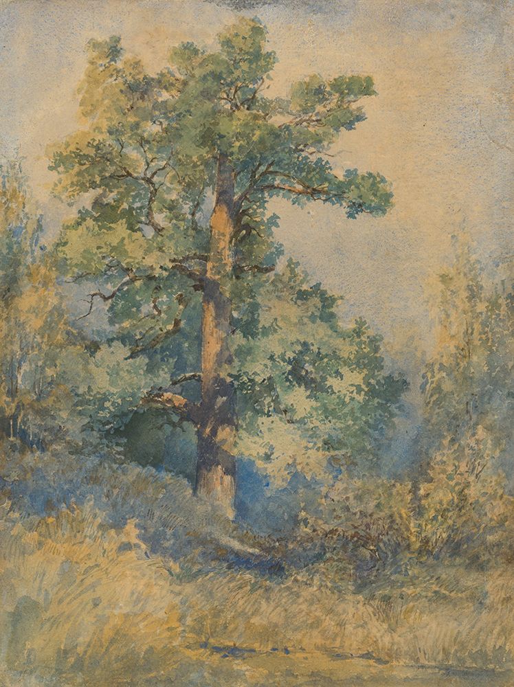 Sketch of a Tree art print by Laszlo Mednyanszky for $57.95 CAD
