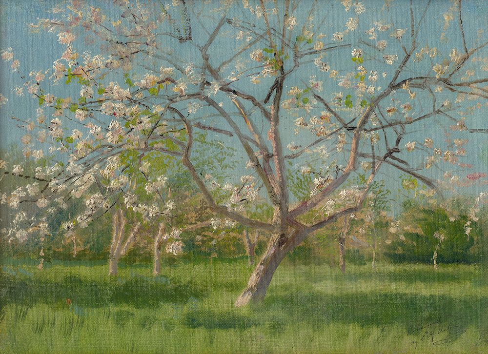 Study of Blooming Trees in an Orchard art print by Laszlo Mednyanszky for $57.95 CAD