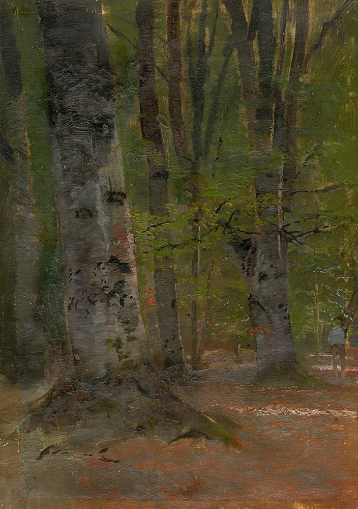 Study of Forest Interior art print by Laszlo Mednyanszky for $57.95 CAD