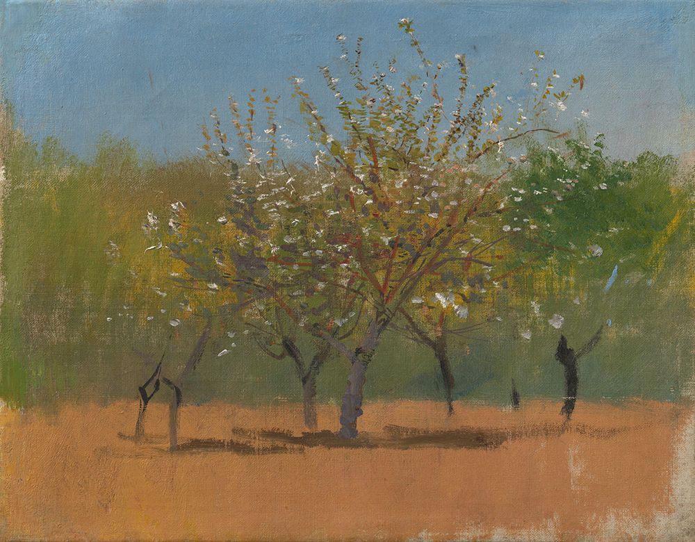Trees in Bloom art print by Laszlo Mednyanszky for $57.95 CAD
