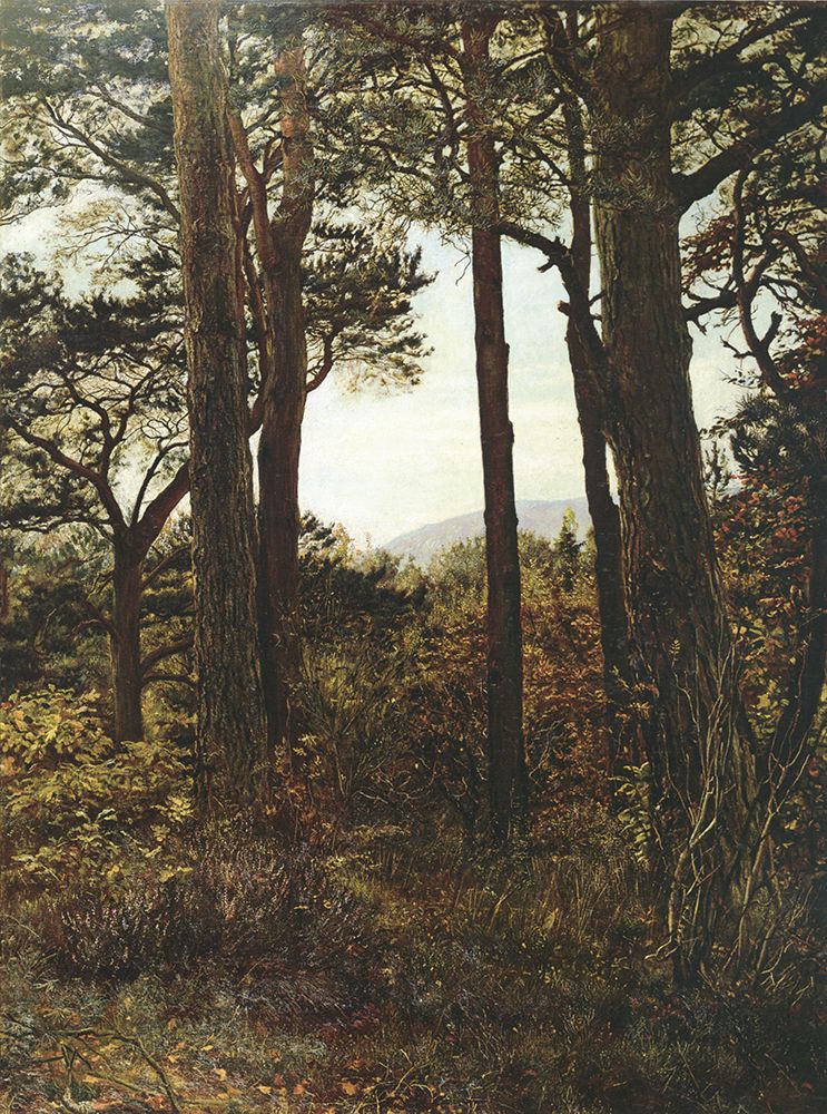Scotch Firs 1873 art print by John Everett Millais for $57.95 CAD