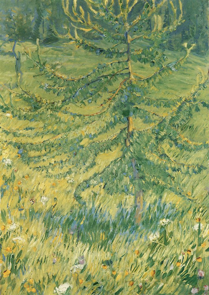 Larch Sapling 1908 art print by Franz Marc for $57.95 CAD