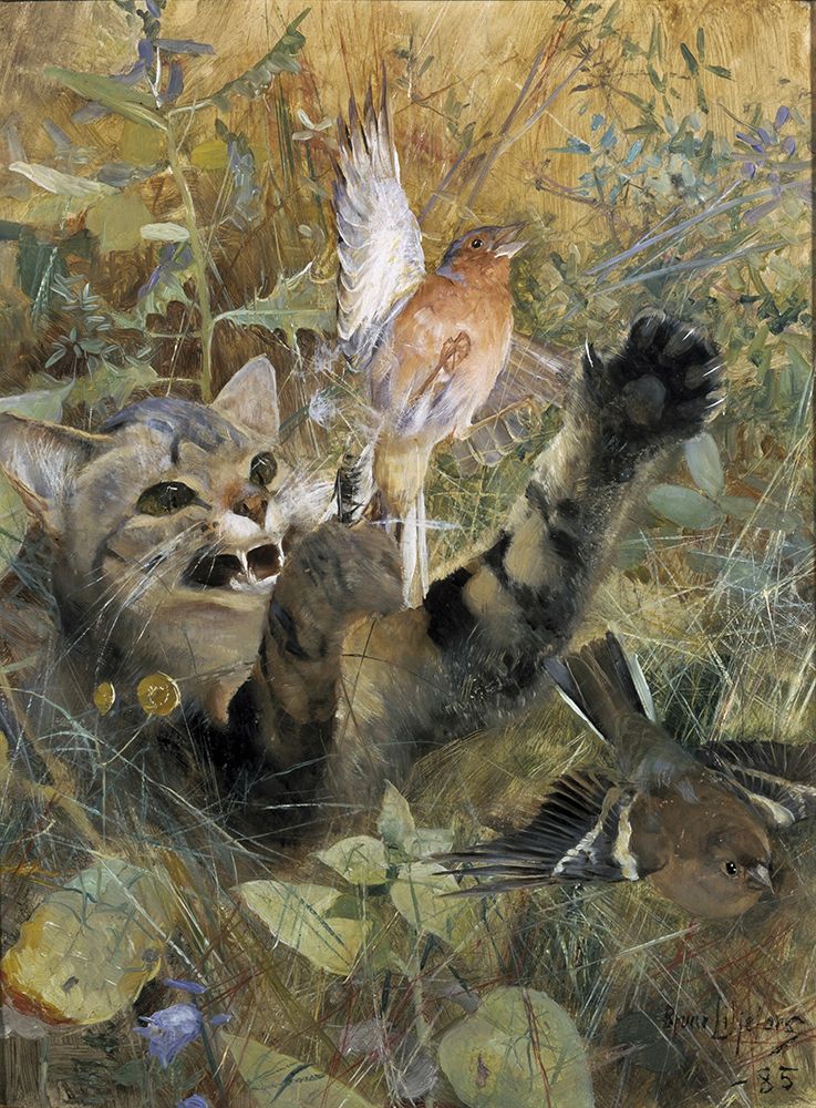 A Cat and a Chaffinch 1885 art print by Bruno Liljefors for $57.95 CAD