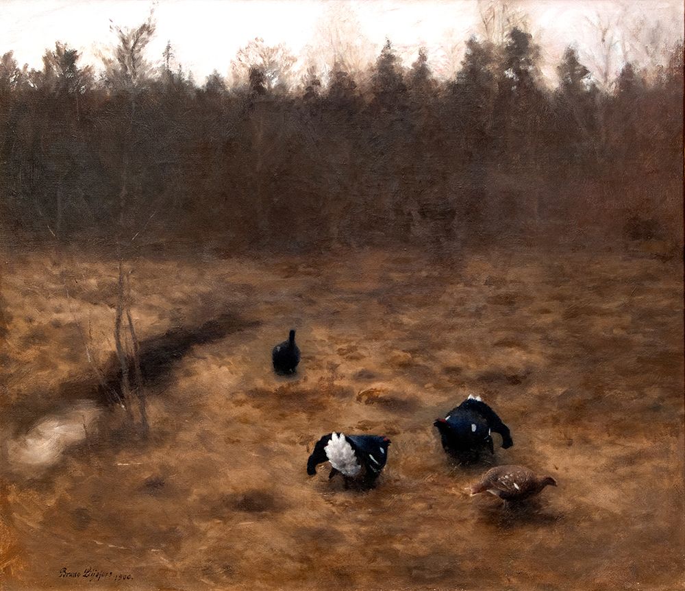 Black Grouse Courting 1900 art print by Bruno Liljefors for $57.95 CAD