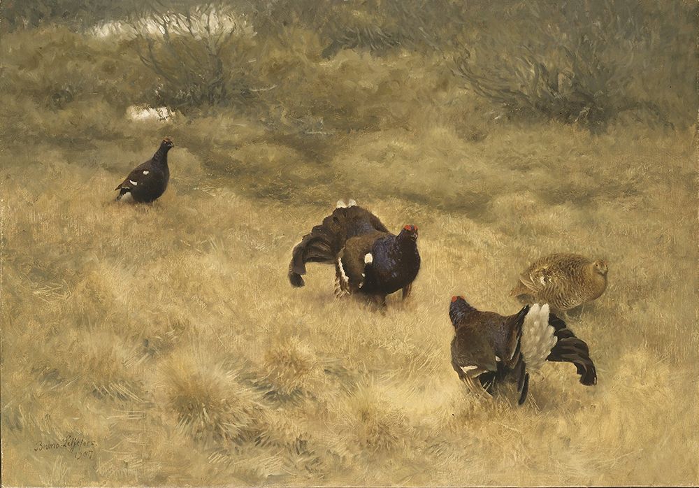 Black Game in Springtime 1907 art print by Bruno Liljefors for $57.95 CAD
