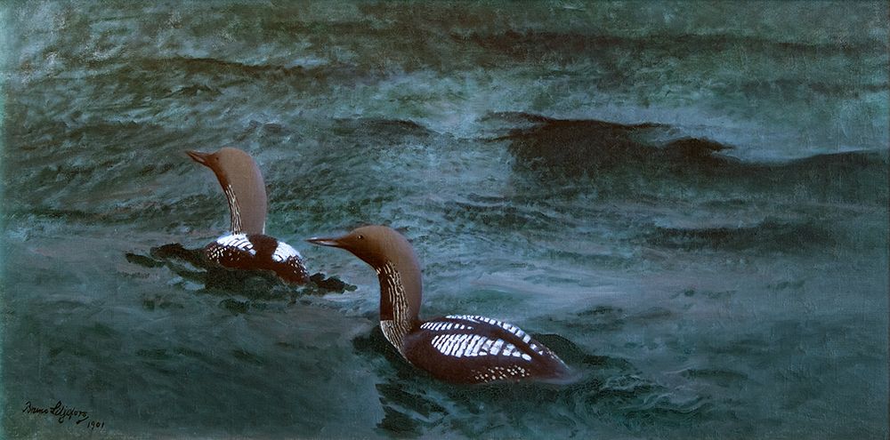 Black-throated Divers 1901 art print by Bruno Liljefors for $57.95 CAD