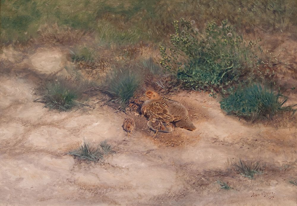 Brood of Partridges 1906 art print by Bruno Liljefors for $57.95 CAD