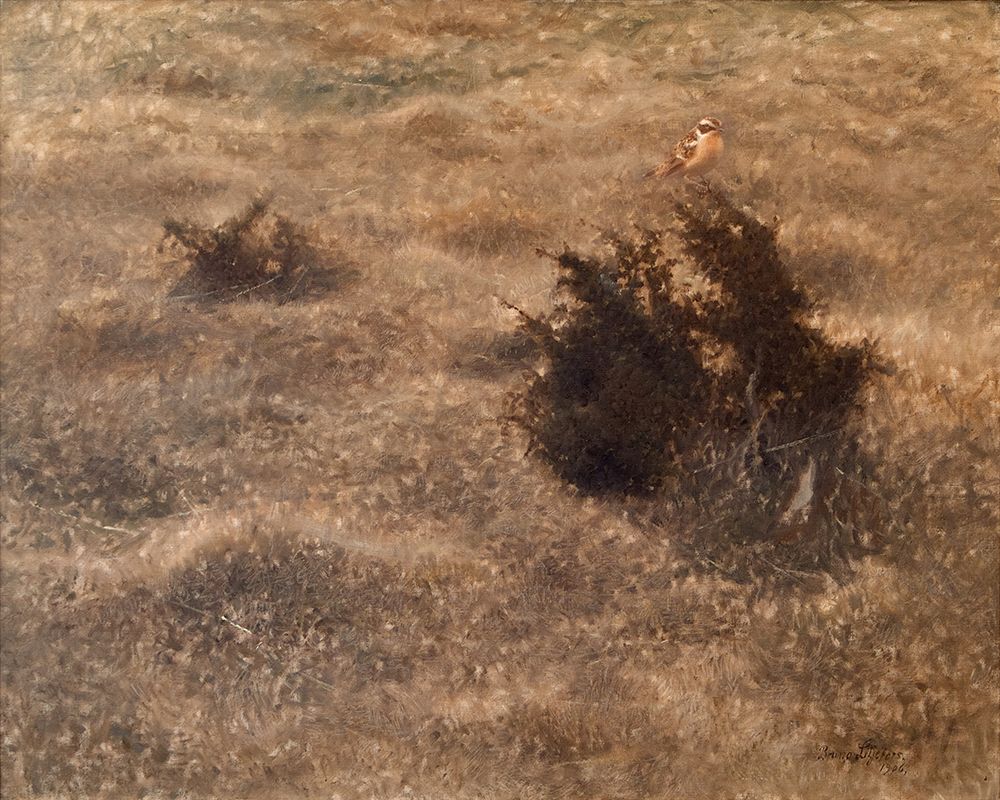 Bush Warbler 1906 art print by Bruno Liljefors for $57.95 CAD