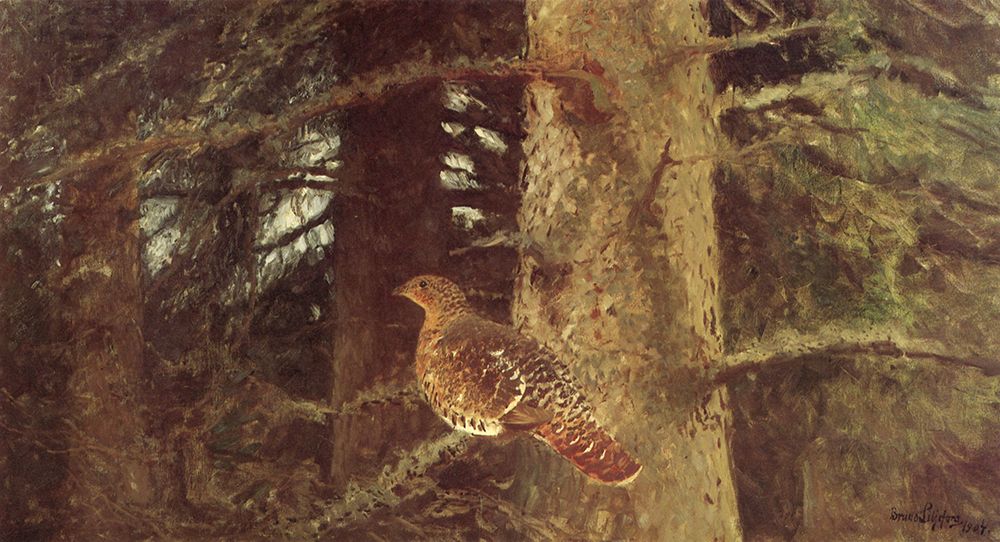 Capercaillie Hen 1904 art print by Bruno Liljefors for $57.95 CAD