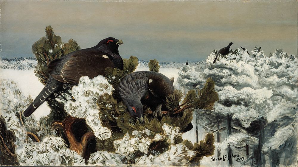 Capercaillies in a Winter Landscape, 1899 art print by Bruno Liljefors for $57.95 CAD