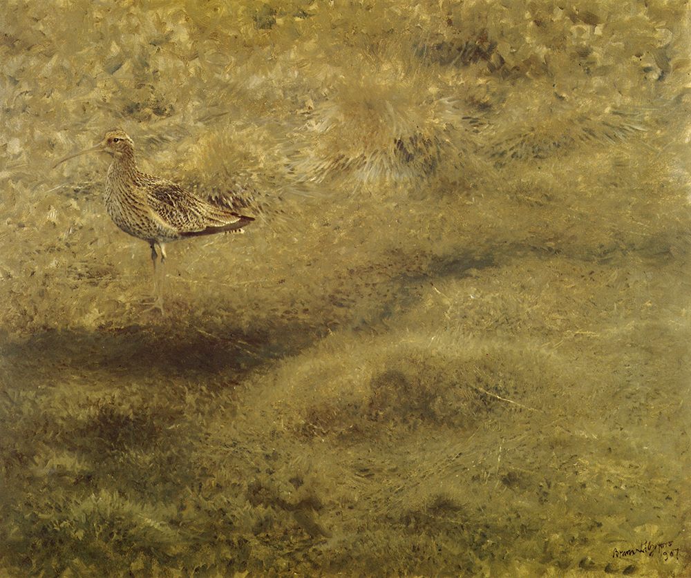 Curlew 1907 art print by Bruno Liljefors for $57.95 CAD