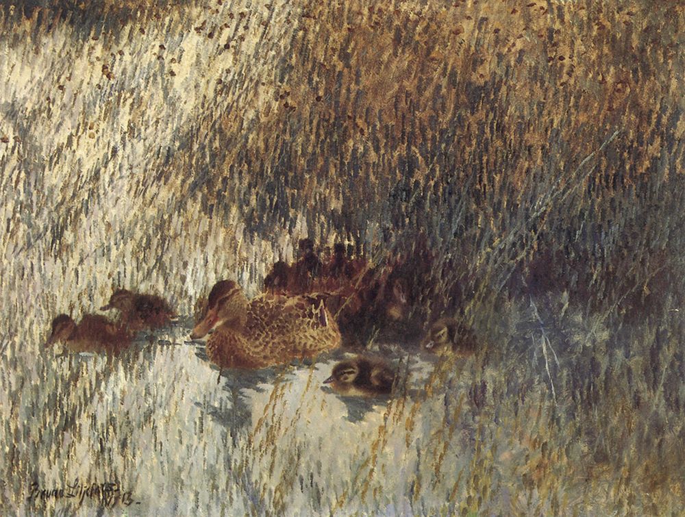 Ducks in Horsetail Reeds 1913 art print by Bruno Liljefors for $57.95 CAD
