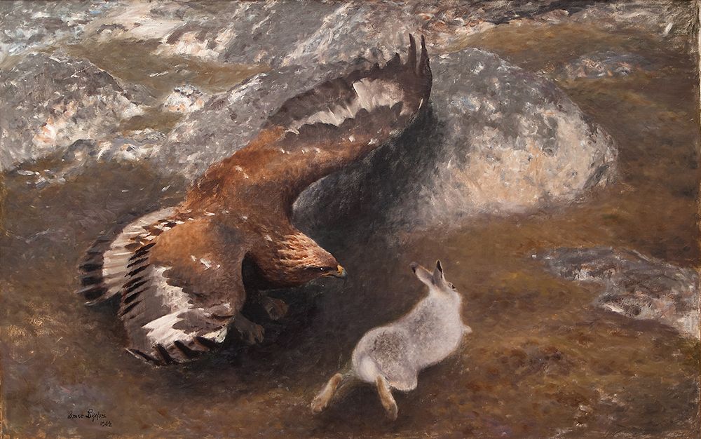 Eagle and Hare 1904 art print by Bruno Liljefors for $57.95 CAD