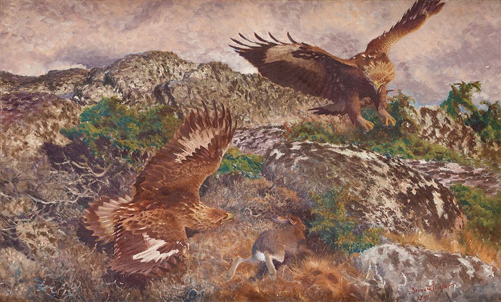 Eagles Chasing a Hare 1911 art print by Bruno Liljefors for $57.95 CAD