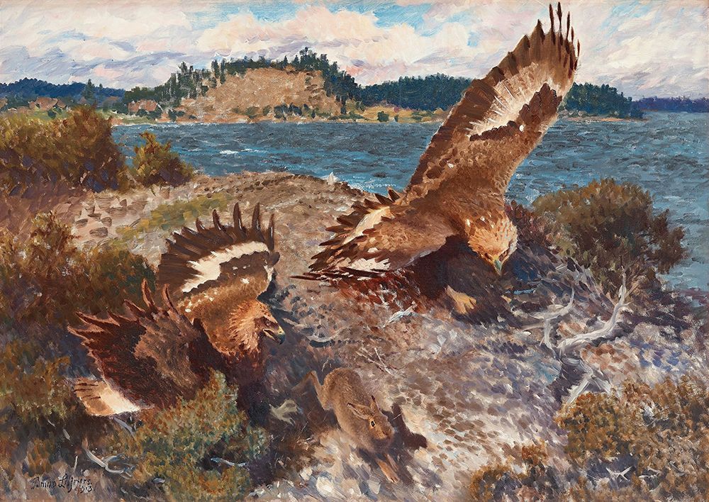 Eagles Chasing a Hare 1913 art print by Bruno Liljefors for $57.95 CAD