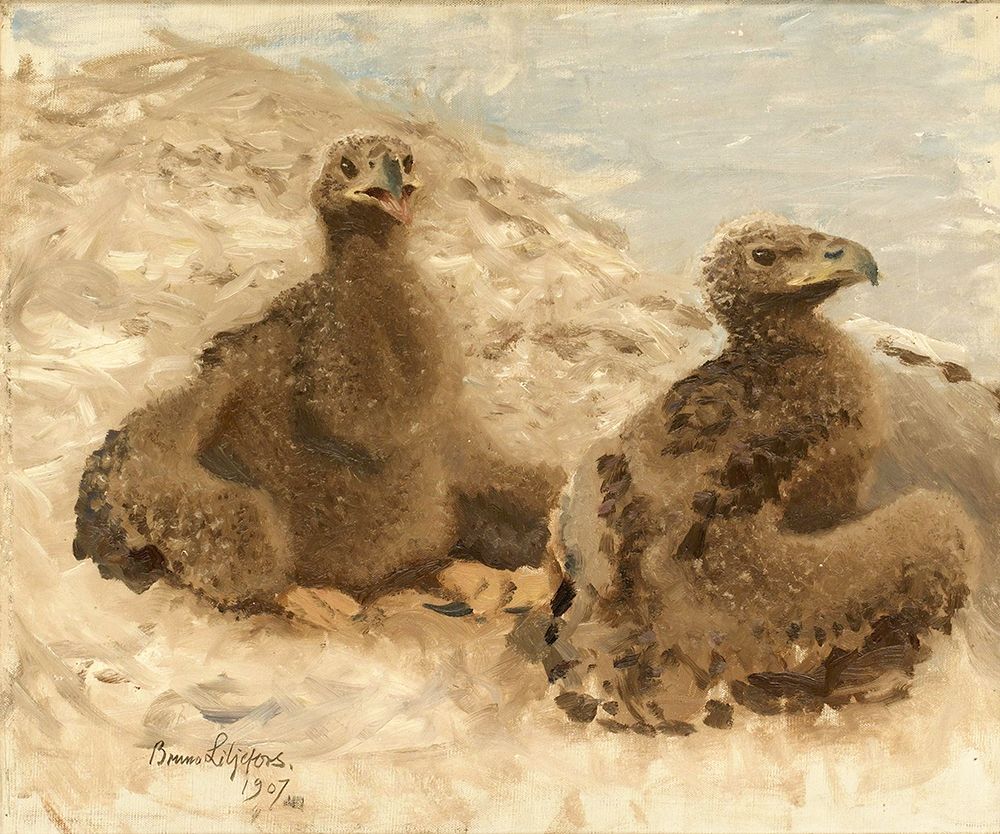 Eaglets 1907 art print by Bruno Liljefors for $57.95 CAD