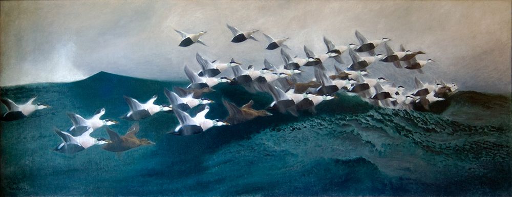 Eider Ducks Flying in Formation 1901 art print by Bruno Liljefors for $57.95 CAD