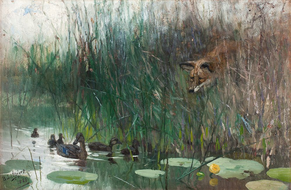 Flock of Ducks and Sneaky Fox 1881 art print by Bruno Liljefors for $57.95 CAD