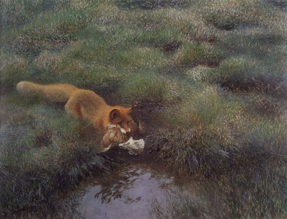 Fox and Duck 1905 art print by Bruno Liljefors for $57.95 CAD