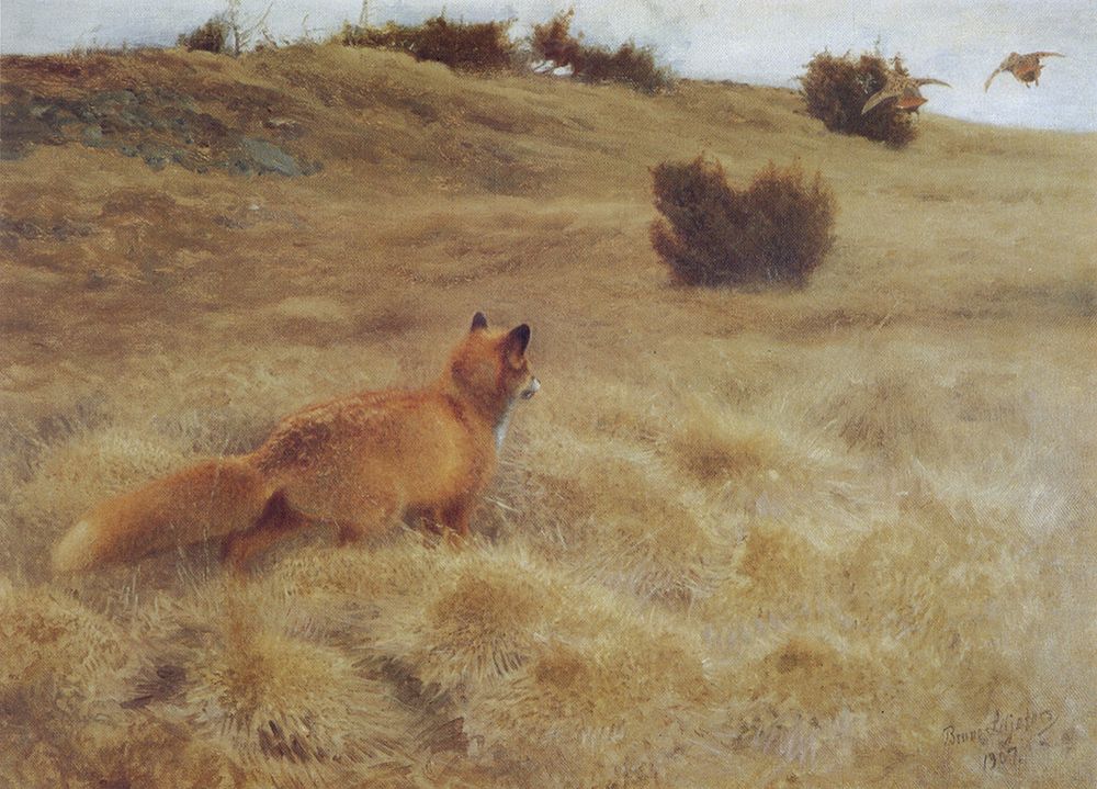 Fox Flushing Partridges 1907 art print by Bruno Liljefors for $57.95 CAD