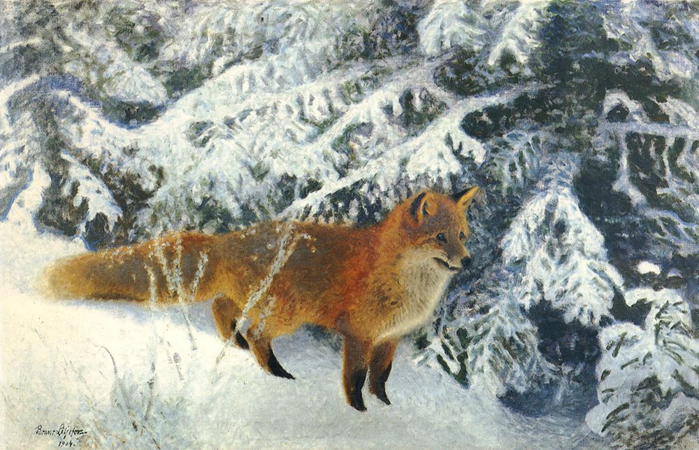 Fox in Winter 1904 art print by Bruno Liljefors for $57.95 CAD