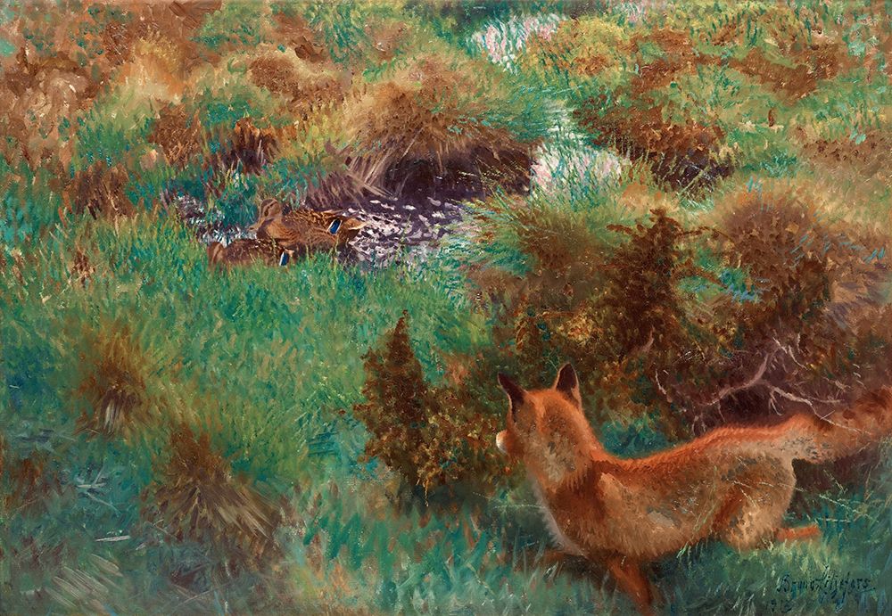 Fox Stalking Wild Ducks 1913 art print by Bruno Liljefors for $57.95 CAD