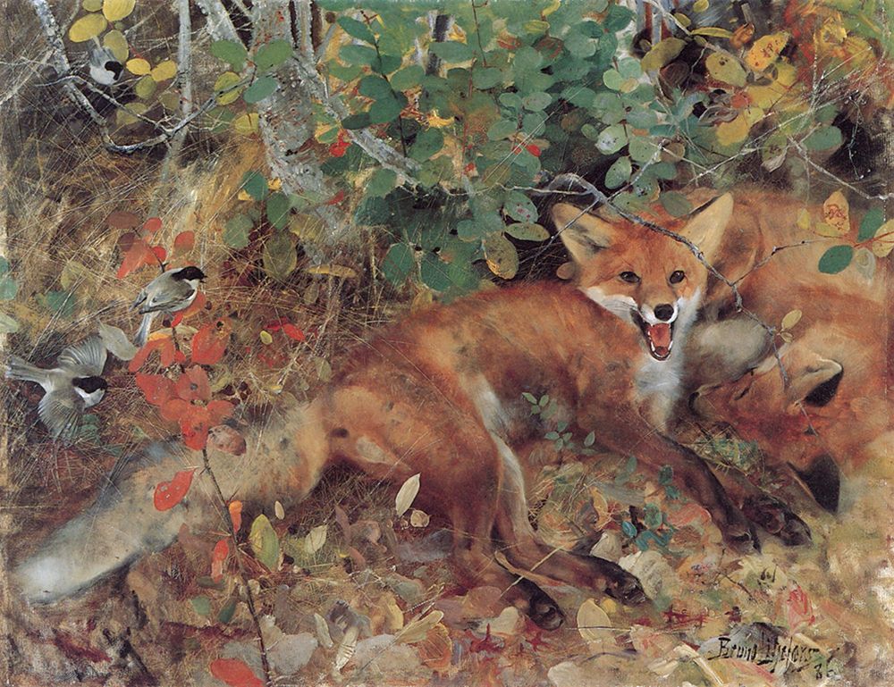 Foxes 1886 art print by Bruno Liljefors for $57.95 CAD