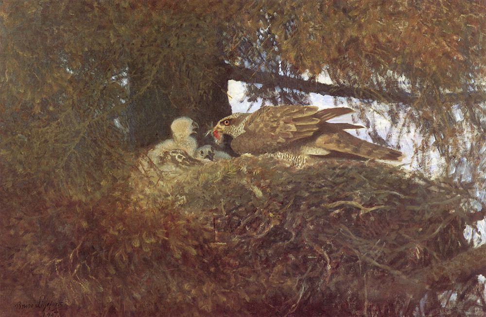 Goshawk at Nest 1907 art print by Bruno Liljefors for $57.95 CAD
