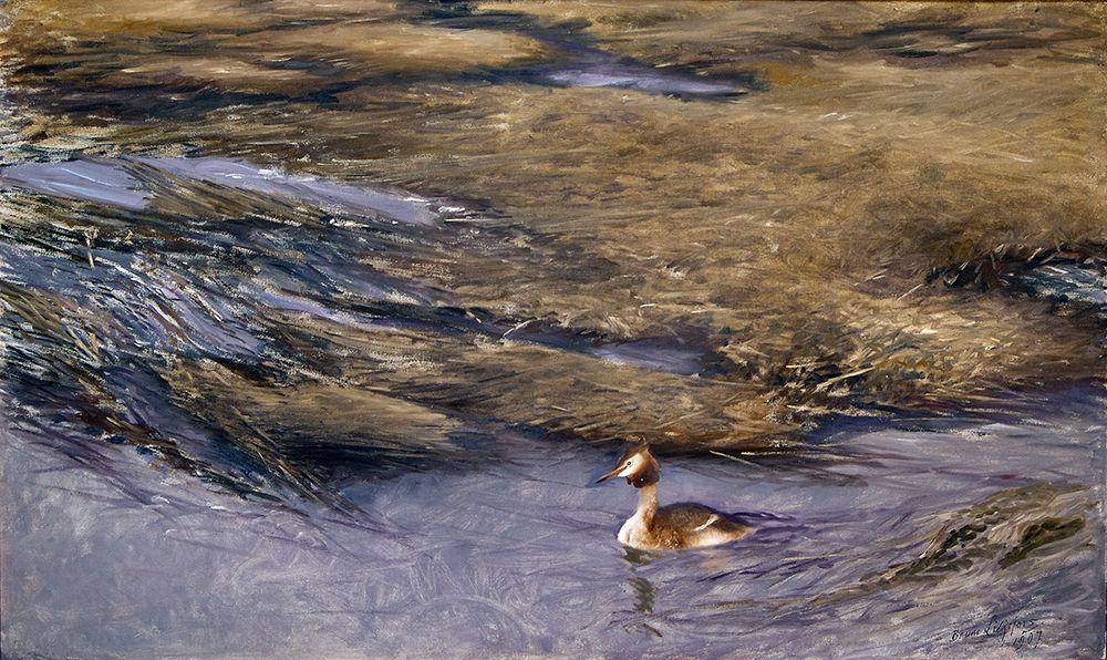 Grebe 1907 art print by Bruno Liljefors for $57.95 CAD