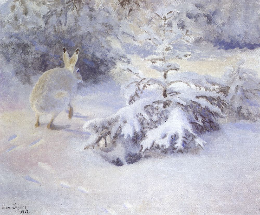 Hare in Snow 1919 art print by Bruno Liljefors for $57.95 CAD
