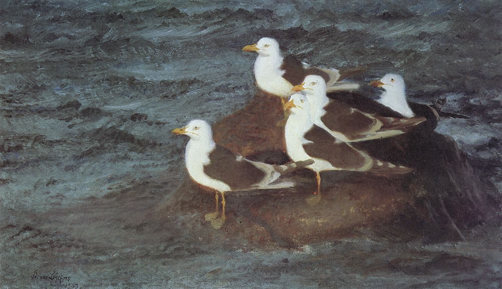 Herring Gulls Resting 1903 art print by Bruno Liljefors for $57.95 CAD