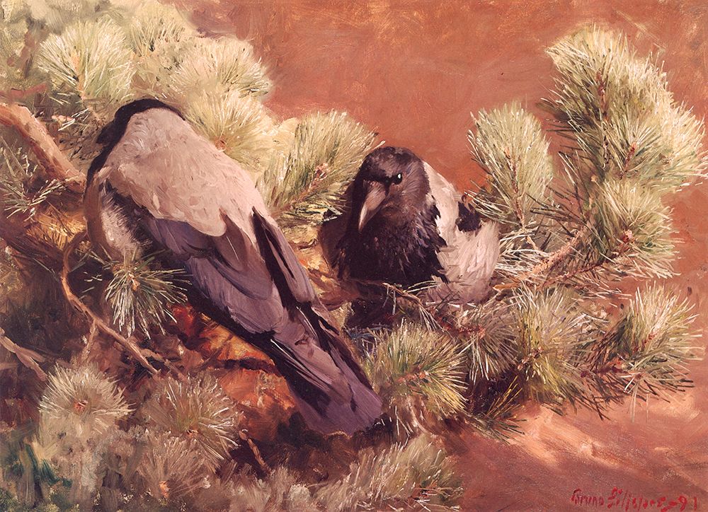 Hooded Crows 1891 art print by Bruno Liljefors for $57.95 CAD