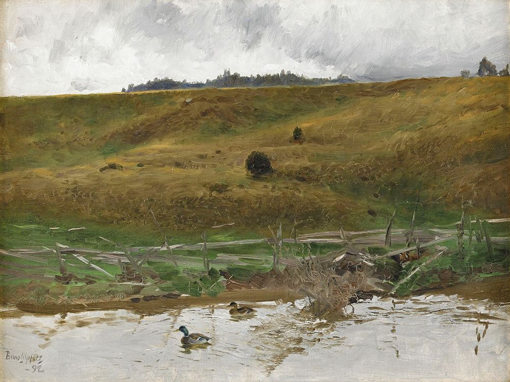 Lake with Ducks 1892 art print by Bruno Liljefors for $57.95 CAD