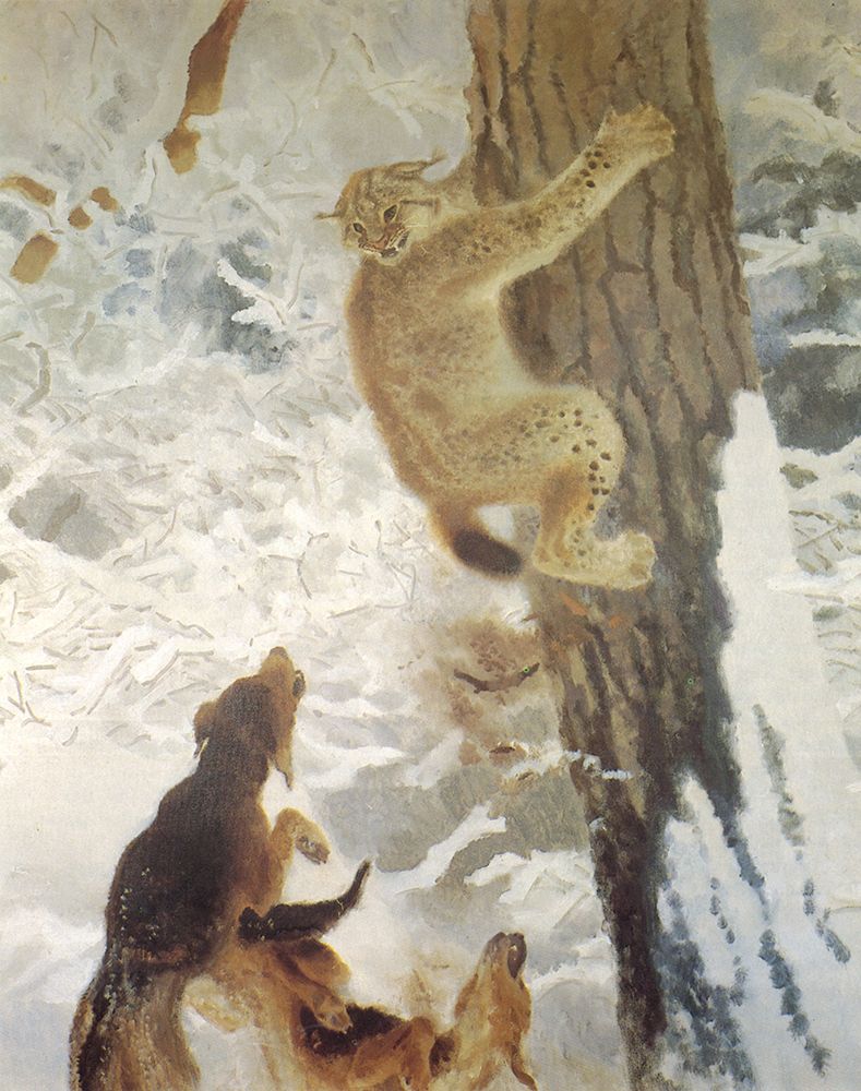 Lynx at Bay detail 1929 art print by Bruno Liljefors for $57.95 CAD